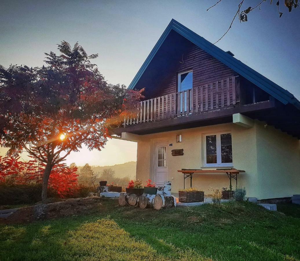 Guesthouse Mreznica- Mreznicka Idila Resort Galovic-Selo Exterior photo